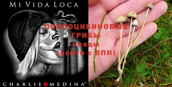 герыч Балахна