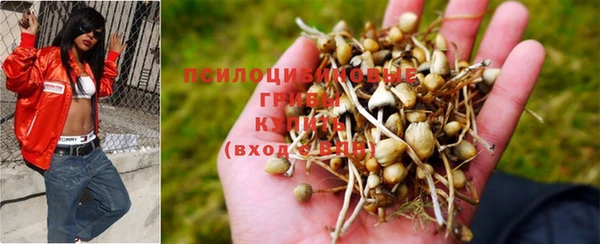 стафф Баксан