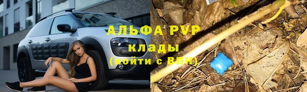стафф Баксан